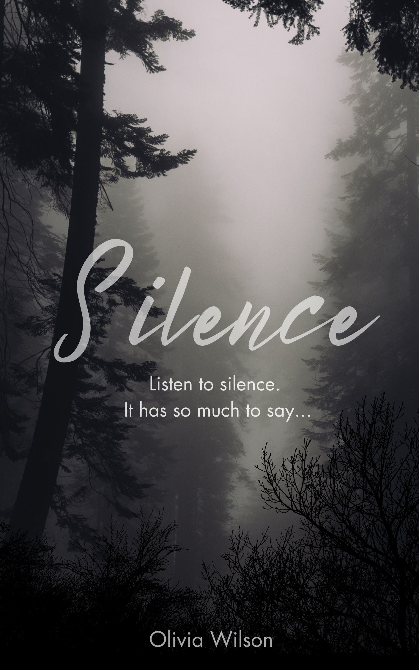 Silence E-Book